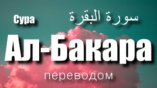 Сура Аль-Бакара |سورة البقرة|Ислам Субхи|переводом