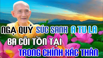 NGẠ QUỶ - SÚC SANH - A TU LABA CÕI TỒN TẠI TRONG CHÍNH XÁC THÂN