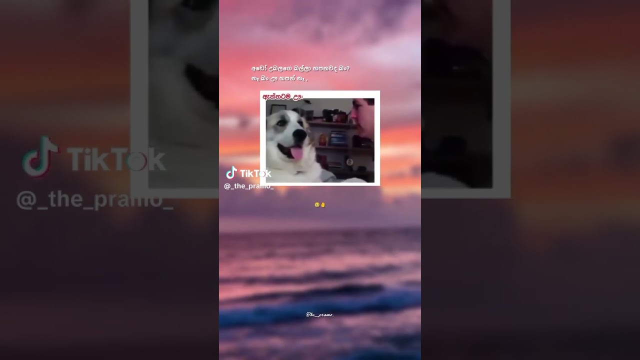 𝑯𝒂𝒑𝒂𝒏𝒏𝒆 𝒏𝒉 𝒌𝒂𝒏𝒂𝒕𝒂 𝒈𝒂𝒉𝒂𝒏𝒂𝒗𝒂 𝒗𝒊𝒕𝒉𝒂𝒓𝒂𝒚😁👍 