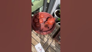 Trâm cài tóc cổ trang #cổtrang #phukiencotrang