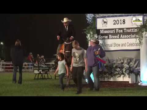 Ava 2018 WGC Open 3 Years  Performance Missouri Fox Trotter  8th.