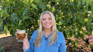Answering YOUR Questions About the 'Secret' Van Winden's Rose Mix! ☕Coffee Chat ☕