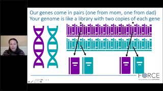 The ABCs of Cancer Genetics