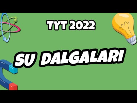 TYT Fizik - Su Dalgaları | TYT Fizik 2022 #hedefekoş