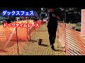 圧倒的犬見知りがダックスフェスに行ってみた【ミニチュアダックス】