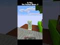 Minecraft No Way Is This The Truman Show World...?☠️ #shorts #funny #minecraftmeme
