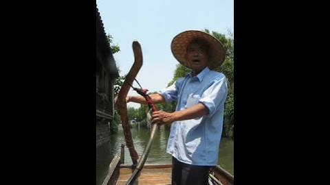 Thumbnail of Singing Boatman, Suzhou China