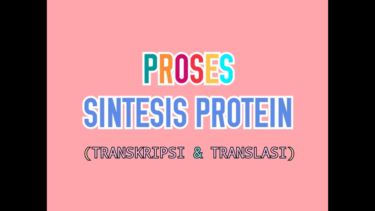 MATERI BIOLOGI SMA KELAS XII | SIMULASI PROSES SINTESIS PROTEIN - YouTube