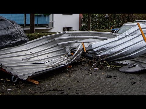 Ураган в Дагестане валил деревья, обрывал линии электропередач и срывал крыши с домов