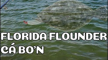 #017 Catch & Cook: Steam Florida Flounder | Cách Câu Cá Bơn Bằng Mỗi Giả Đơn Giản Nhưng Rất Nhạy