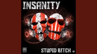 Stupid Bitch (Original Mix)