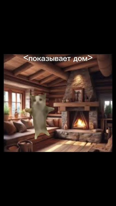 Отдыхай мем с котами 13 Cats Having A Better Summer Than You Cute cats, Cats, Crazy cats