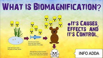 Biomagnification - Environmental issues.Causes, Effects and Controls of Biomagnification.