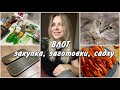 ВЛОГ / ЗАКУПКА ПРОДУКТОВ / ЗИМНИЕ ЗАГОТОВКИ / ДОСКА САДХУ  / БОЛТАЛКА  #влог  #будни