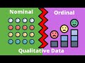 Types of Data in Statistics and Their Importance
