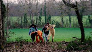 Paillette 121 - Dirty Dieter (Officieux)