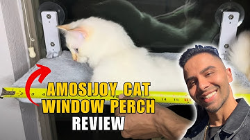 AMOSIJOY Best Cat Window Perch, Hammock with Suction Cups!