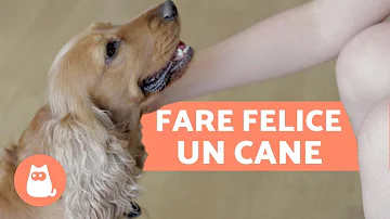 Come fare per dare via il cane?