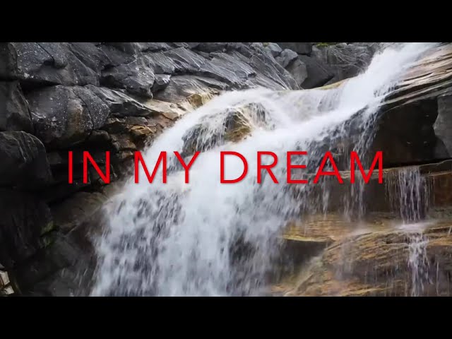 IN MY DREAM