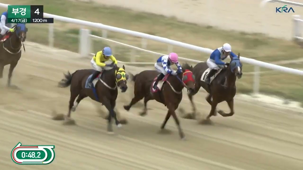 잘나가는 최시대 기수.2.4경주 우승