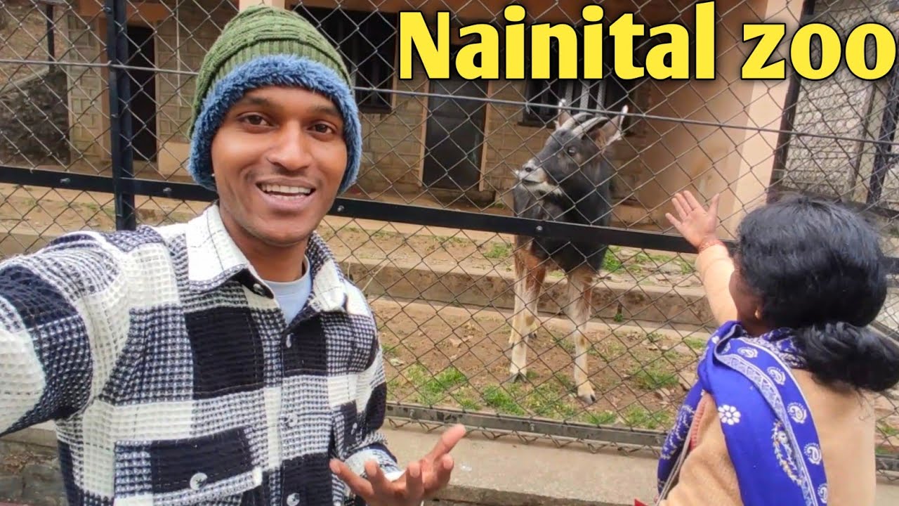 Ye कहा घूमा दिया mummy ko nainital zoo😊।।@Maheshvloguk04।।