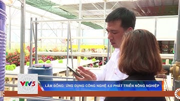 LÂM ĐỒNG: ỨNG DỤNG CÔNG NGHỆ 4.0 PHÁT TRIỂN NÔNG NGHIỆP  | VTV5