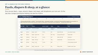 New Baby Records Binder — Feeding, Sleep, Growth & Milestone Tracker (Excel + Sheets) screenshot 3