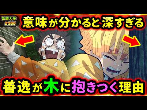 【鬼滅の刃】ギャグシーンの裏で本当は…！善逸が木の上に逃げる理由...善逸と木の深すぎる関係とは...！（我妻善逸/桑島慈悟郎/立志編/無限城編/考察/鬼滅大学）