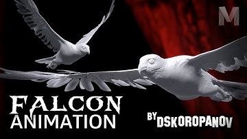Falcon Flight | 3D Animation for 3D LED Display - Full Video #1