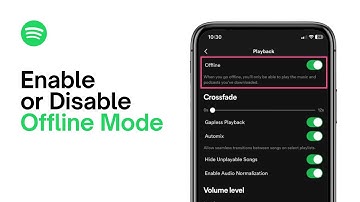 How to Turn Off/On Offline Mode On Spotify (2024) - Full Guide