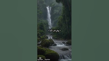 #سورة البقرة (216) #قرآن_كريم #اكسبلور