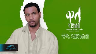 Temesgen Gebreselassie - Taniqo - Wala Aykeseb - ዋላ ኣይከሰብ - Eritrean Music - ( Official Audio )