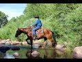 2020 Diamond-McNabb Ranch Horse Sale Preview Part Three