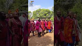 Traditional Maasai Welcome Dance ? kenyatourism masaimara wildlife @maratrails5690