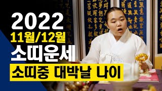 2022년 하반기 소띠(61년생,73년,85년생 )하반기운세/소띠중 대박날 나이는?[원주점집 천향금]