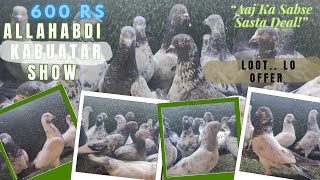 "Shakil Bhai Ka Allahabadi Khel, Sirf 600 Mein Real Sale!" Mumbai Kurla (E) : 9930365838