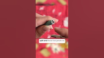 How to Insert a Pointed Pen Calligraphy Nib Into a Pen #pointedpencalligraphy #learncalligraphy