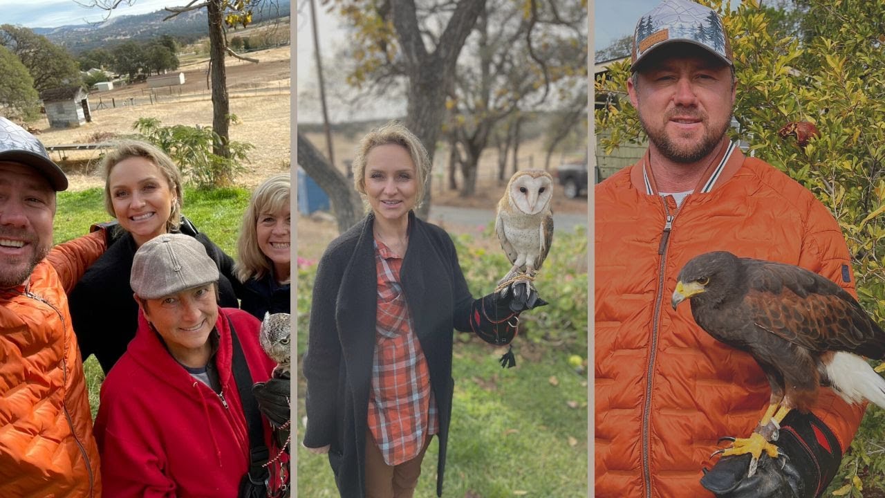 WEST COAST FALCONRY | THE WORLDS MOST BEAUTIFUL RAPTOR BIRDS