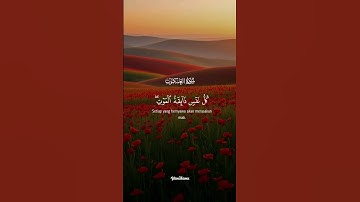 القران الكريم #الطحان #اكسبلور #القزابري #duet #دويتو #تيك_توك #الرحمن #لايك #beautiful