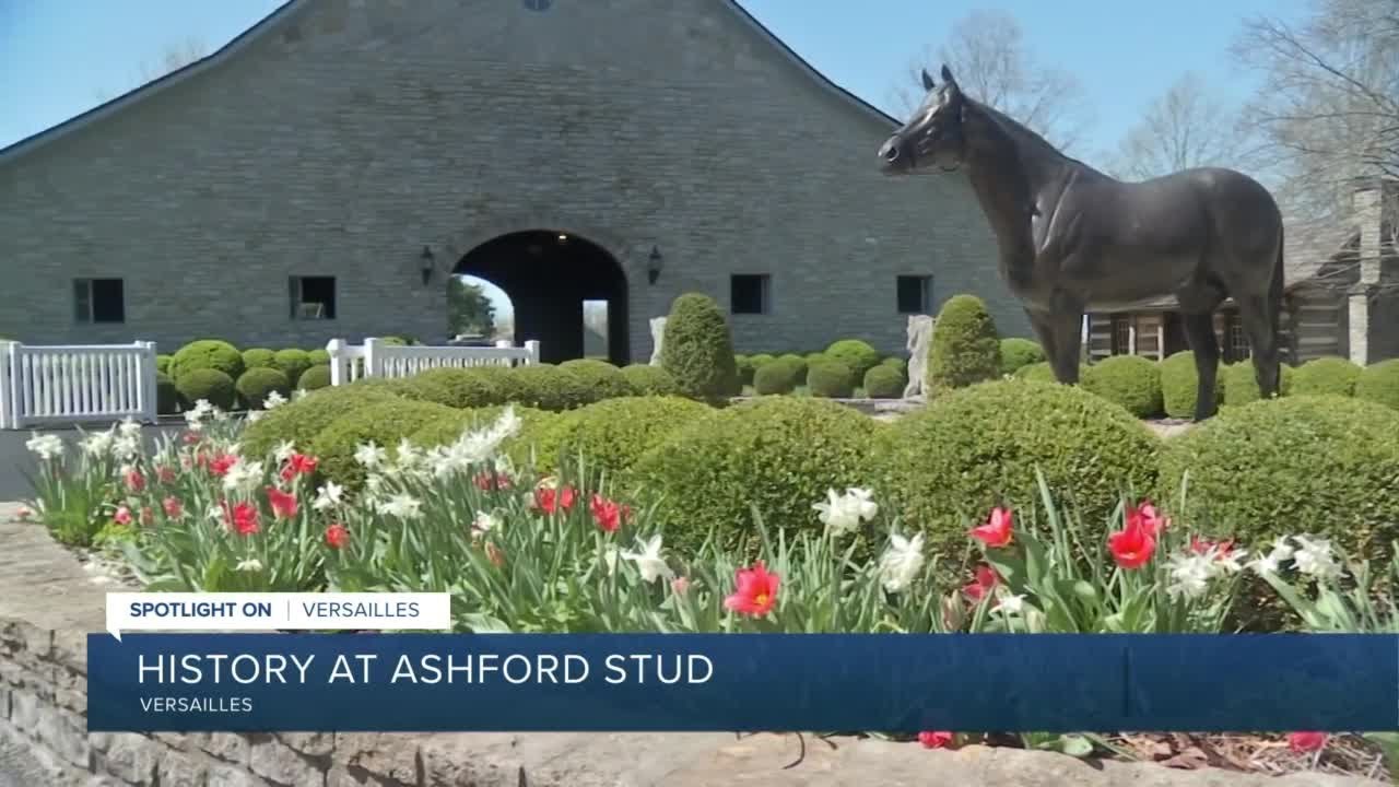 visit ashford stud