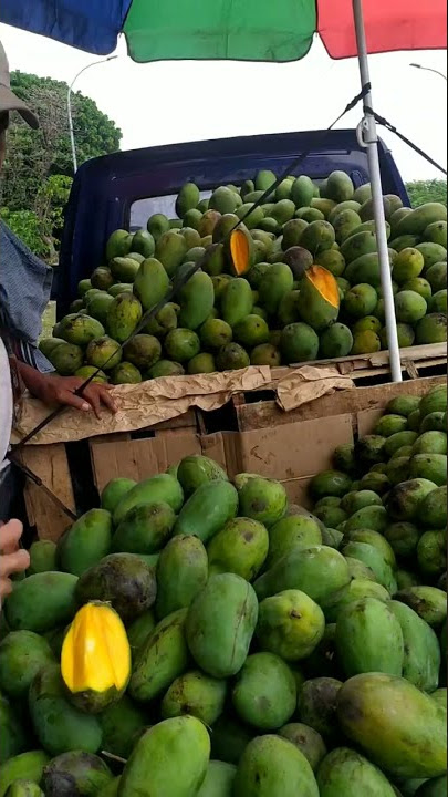 Sumpah Beli Mangga Indramayu Di Pinggir Jalan Murah Banget 1Kg Cuma 10.000 Aja #shorts #mangga