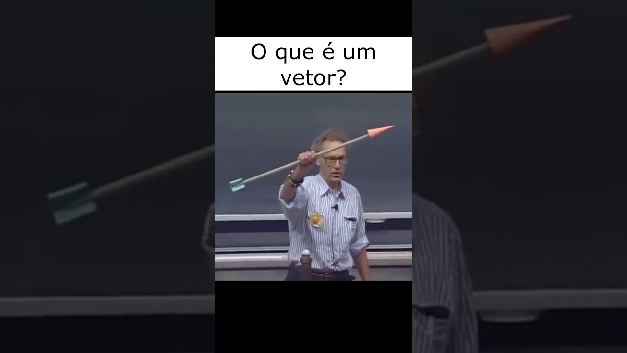 Что такое вектор? | Уолтер Левин