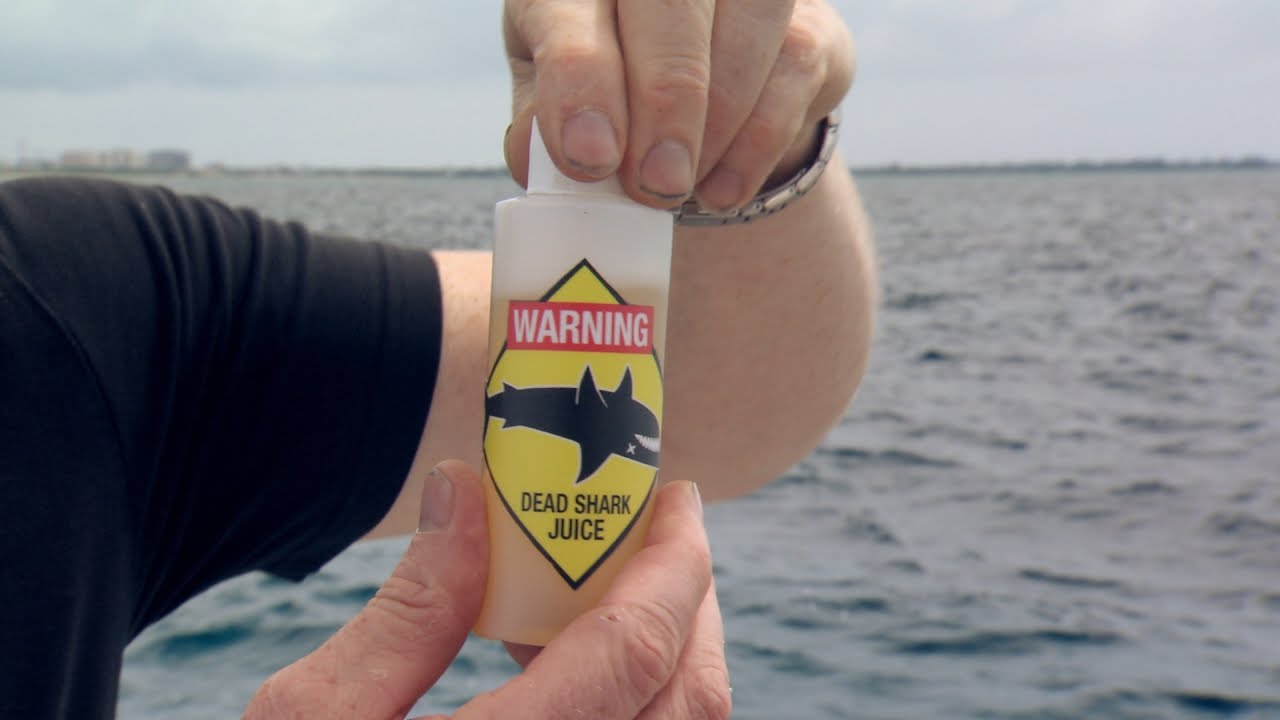 Does "Essence of Dead Sharks" Work as Shark Repellent? - YouTube