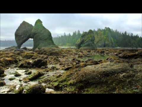 Devin Townsend Project - Kawaii Music Video