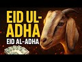 EID MUBARAK🦙|| 2025 || S♥️S || Jhang Da Shahzada || #2025vlog #eidmubarak #jhangdashahzada