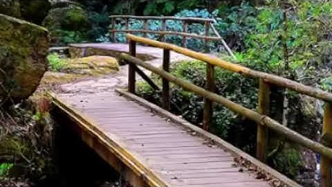 تلاوة خاشعة من سورة ق الشيخ محمد المحيسني