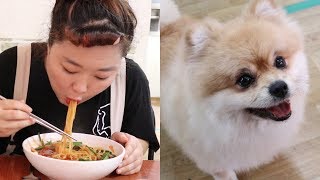 한국에서 제일 매운 짬뽕? 부산 영도 불짬뽕 4단계 원자폭탄맛 도전 먹방 spicy noodles challange mukbang eatingshow