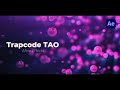 Trapcode TAO в After Effects для новичков