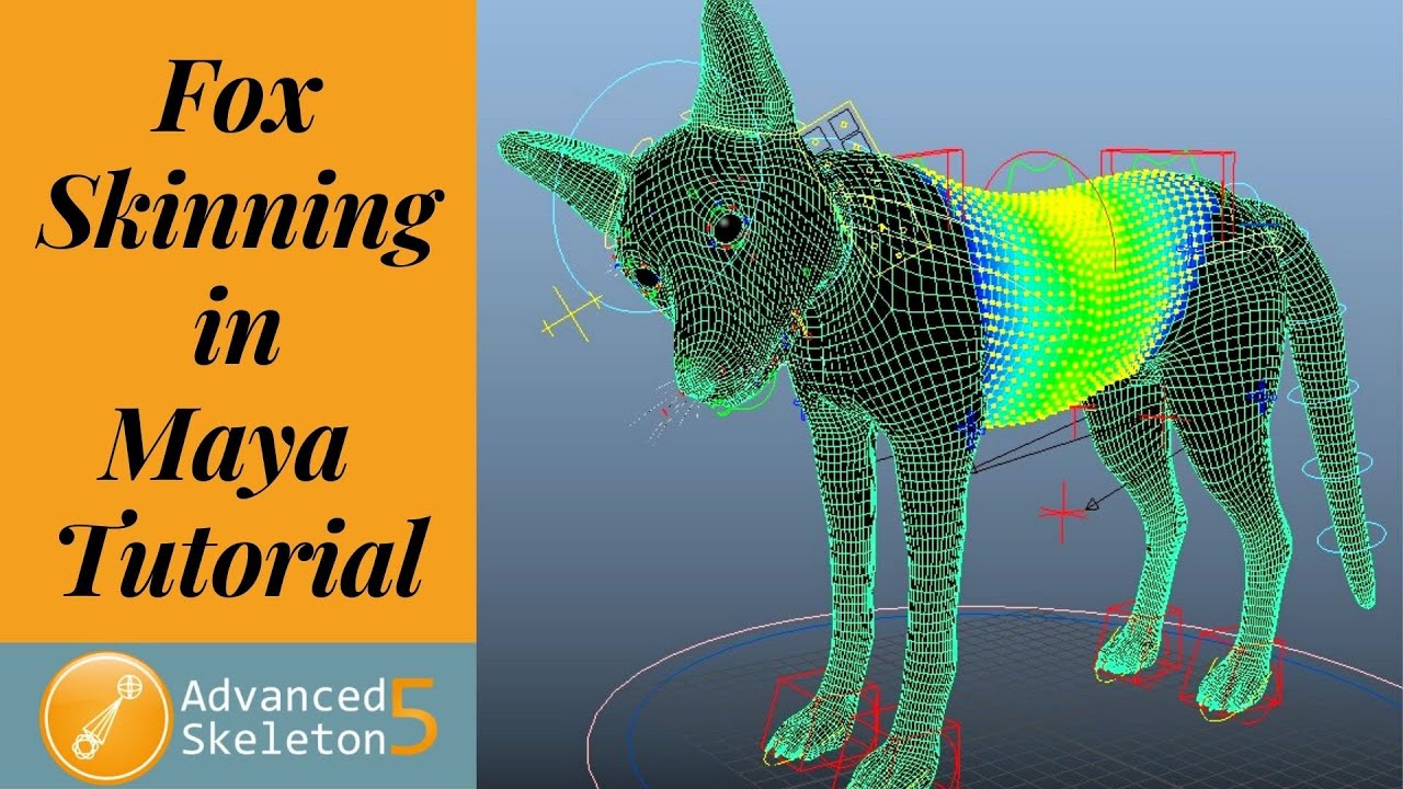 Fox Rigging in Maya / Advanced Skeleton Setup / Part -2 - YouTube