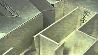 Behavioral Science 435 Rat Maze